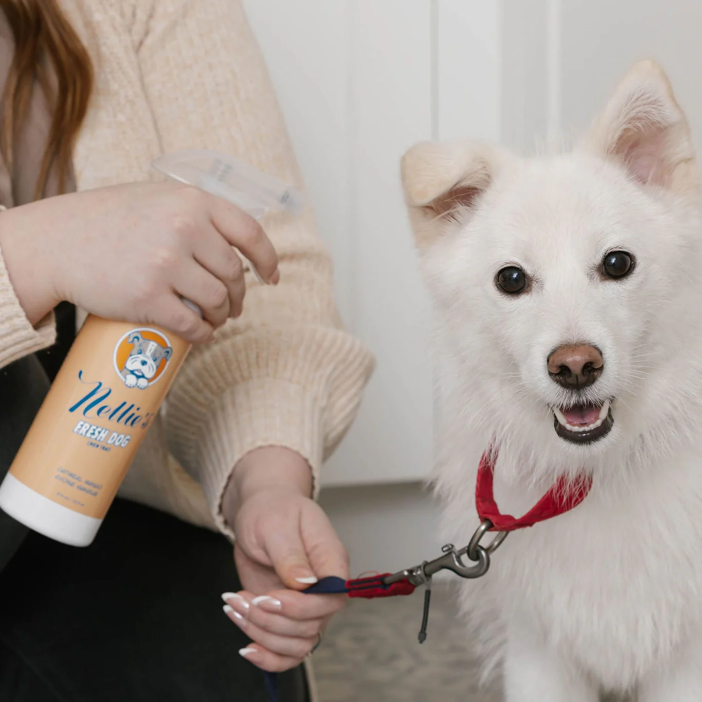 Fresh Dog - Image 7